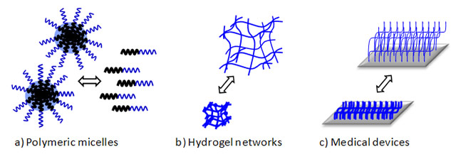 Scheme of some stimuli-responsive structures useful for intelligent drug delivery.