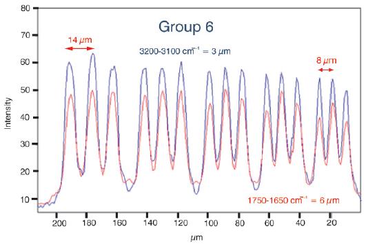 Resolution profile. This figure shows a cut through group 6 and 7 according to the red lines drawn in figure 1c. The blue trace corresponds to the profile at 3200 cm-1 and the red trace corresponds to the profile at 1650 cm-1.