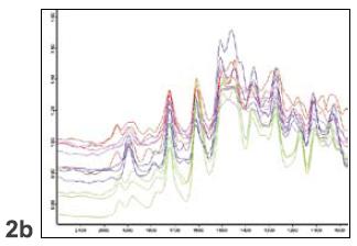 IR image of polystyrene beads (8cm-1 resolution, 15x, transmission). 2a: Beads look very similar in the visible image. 2b: Representative IR spectra for a number of detector pixels. 2c: Similarity of the original spectra to the three relevant principal components; 2d: RGB image made up of the three relevant principal components.