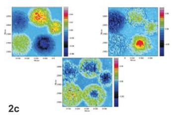 IR image of polystyrene beads (8cm-1 resolution, 15x, transmission). 2a: Beads look very similar in the visible image. 2b: Representative IR spectra for a number of detector pixels. 2c: Similarity of the original spectra to the three relevant principal components; 2d: RGB image made up of the three relevant principal components.