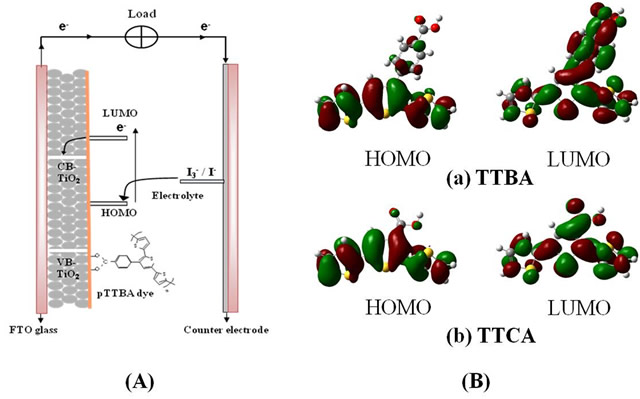 (A) Schematic of a solar cell composed of the pTTBA dye polymerized on TiO2 and I3-/I- electrolyte. (B) Frontier molecular orbital of the HOMO and LUMO levels of (a) TTBA, and (b) TTCA