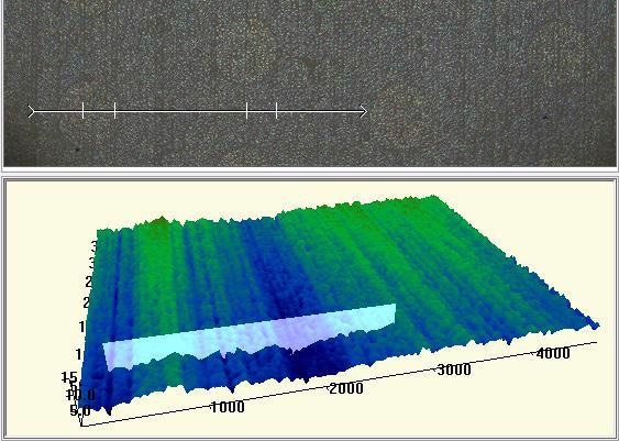 Zeta 2D (top) and 3D (bottom) images of a reference substrate.