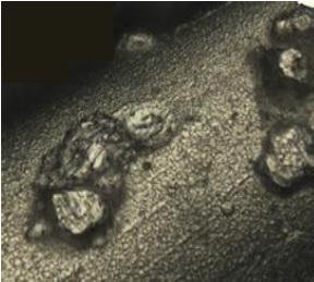 Zeta 3D image of a new diamond wire and automated analysis of diamond particles.