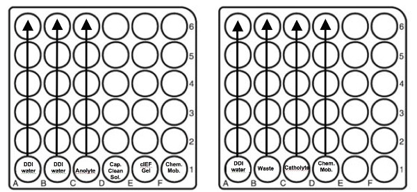 Buffer Tray Set-up.