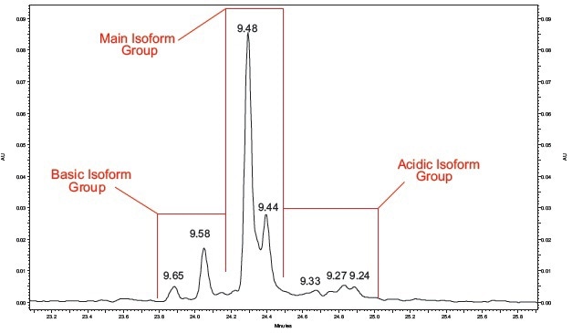 mAb (1) Peak Profile. A close up view of the mAb #1 cIEF separation.