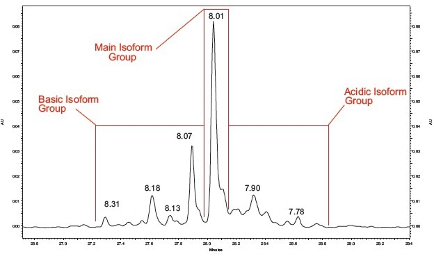 mAb #2 Peak Profile. A close up view of a mAb #2 cIEF separation.
