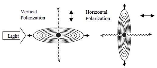Scattering from different polarizations.