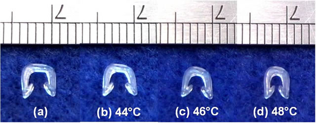 Biodegradable PLA surgical staple with self-tightening function upon heating.