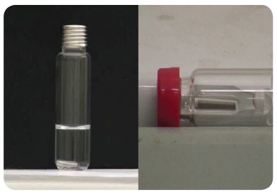 Left figure is the SBSE in diluted seafood extract; Right figure is the device inside a vial containing an insert with 220 uL hexane. Setting the vial on the edge of the stir plate with the magnet turned ON allows the SBSE to be gently agitated during back extraction.