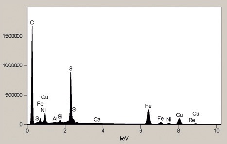 The spectrum indicates significant Fe, Cu, S in C epoxy binder