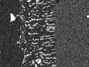 Gross counts elemental map of Mo-L X-rays. Increased brightness indicates more characteristic 1 X-ray intensity