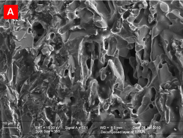 Scanning electron micrographs of the surface microstructures of vacuum-decomposed MAX phases; (a) Ti2AlN, (b) Ti4AlN3, (c) Ti3SiC2 and (d) Ti3AlC2.