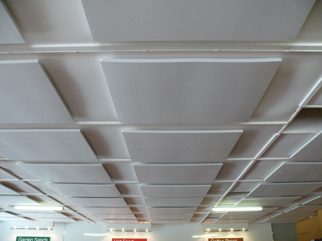 EchoSorb acoustic baffles installed in a French school, Sydney.