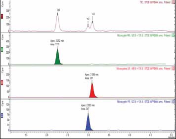 Chromatogram of 0.5 ppb mixed standard of MCs
