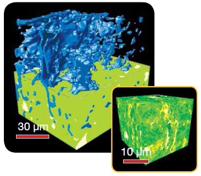Shale Submicron pores: VersaXRM Resolution: 0.29 m voxel