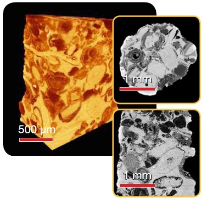 Calcite - Superior contrast and resolution in 3D and virtual internal slices with VersaXRM at a resolution of 1.4 µm voxel