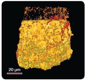 Pore network of chalky carbonate via UltraXRM-L200