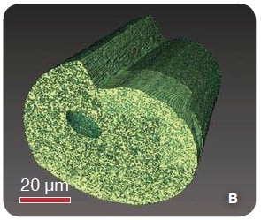 A higher resolution cross-section, imaged using the UltraXRM which reveals many submicron voids distributed throughout the fiber.