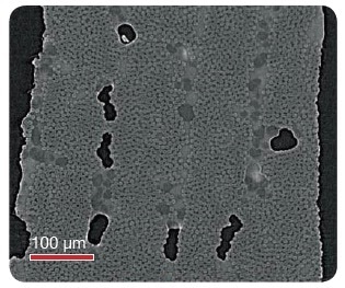 Virtual cross-section of a carbon fiber composite tomography