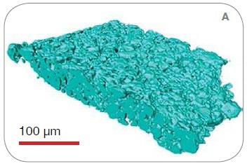 3D solid-phase renderings from the scans on (A) VersaXRM, (B) UltraXRM, and (C) synchrotron nanoXCT