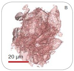 3D solid-phase renderings from the scans on (A) VersaXRM, (B) UltraXRM, and (C) synchrotron nanoXCT