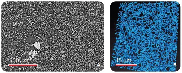 Solid Foams (A) Microcellular foam imaged using the MicroXCT (VersaXRM family) and 1 µm voxel size resolutions. (B) Polystyrene foam imaged using the UltraXRM-L200 using 65 nm isotropic voxels.