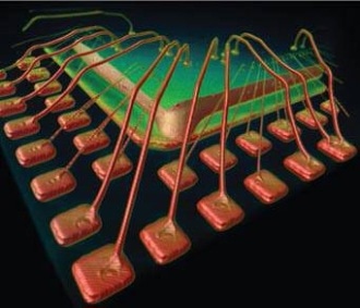 3D rendering of a wire bonded package. The 3D volume was created through a tomography generated by the MicroXCT-200.
