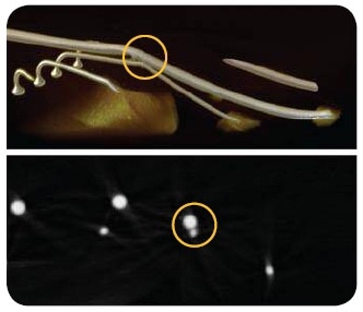 Upper-3D rendering of two wires suspected of touching.