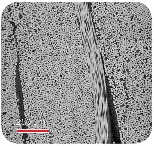 Virtual orthogonal slice of the composite, showing carbon fiber and epoxy
