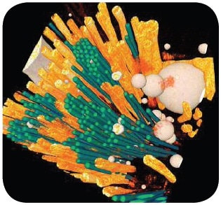Segmented 3D image of the composite, showing green fibers (E-glass), orange fibers (polypropylene), and white spheres (voids). The analysis indicated that E-glass fibers are clustered together and randomly distributed, which may influence the strength of the material, and that there are many unconsolidated polypropylene fibers left in the sample. Courtesy of Professor Milani, University of British Columbia AnchorConclusion