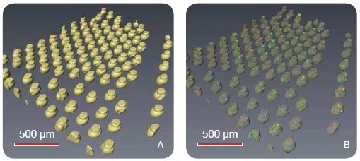 (A) The solder bumps are visualized for feature localization and exterior analysis. (B) After void segmentation, the voids may be assigned a unique color (label) depending on the bump within which they are located, permitting bump-to-bump statistical void analysis.