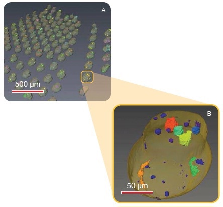 Using the Xradia VersaXRM-500 system, a large number of C4 bumps were imaged and independently analyzed for void sizes. Here, one bump has been virtually extracted from the region of interest and the voids labeled with different colors, corresponding to their 3D volume sizes (blue/purple = lowest volume, red = highest volume).