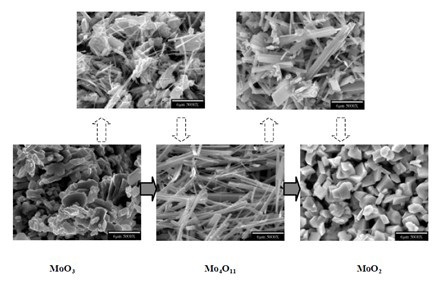 Stage One Reduction—Grain Morphology Transformation Mechanism