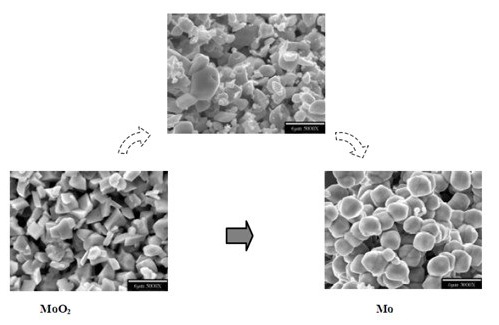 Stage Two Reduction—Grain Morphology Transformation Mechanism