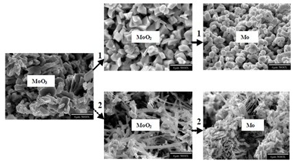 Grain Morphologies of Materials Processed at Different Conditions