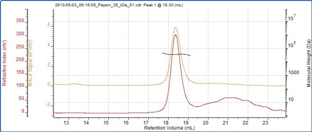 Chromatogram of pepsin showing RI (red) and SEC-MALS (90°) (orange) detector signals.
