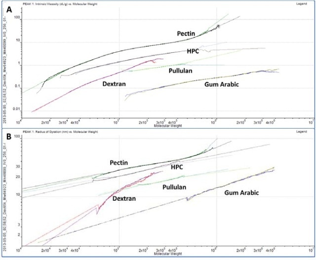A. Overlaid Mark-Houwink plots for the polysaccharides. B. Overlaid conformation plots for the polysaccharides. Solid lines indicate real data and dotted lines indicate extrapolated data.