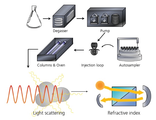 Schematic of a GPC/SEC system.