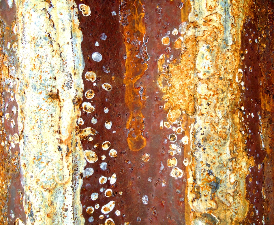 ImageForArticle_98_15815174276879947.png