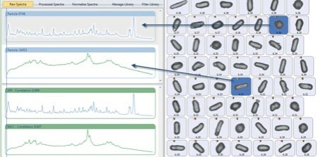 Two unique particles distinguished by the correlation of their Raman spectra with reference spectra. (shown in green)
