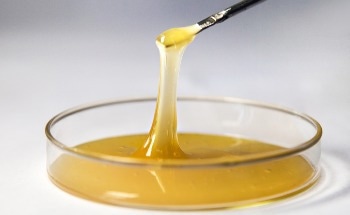 How does Temperature Change Viscosity in Liquids and Gases?