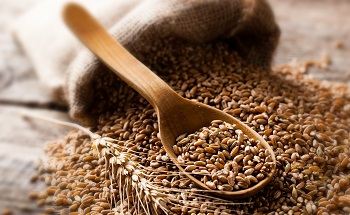 Optimization of Milling by Mapping Wheat Grain Kernels