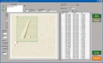 Simultaneous Probing of an Object Using AFM and Raman Imaging