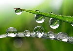 Waterproof Materials Research Buoyed By Bouncing Droplets