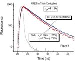 Portable Fluorescence System and FRET Calculator
