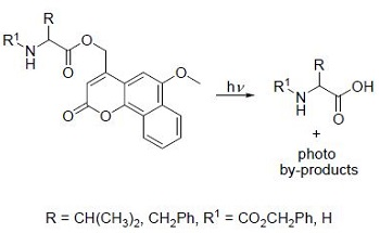 Understanding Photocleavage Reactions