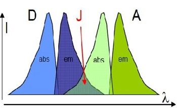 Introduction to Förster Resonance Energy Transfer (FRET)