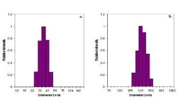 Sizing Sub-Micron Particles Using a Dynamic Light Scattering Technique