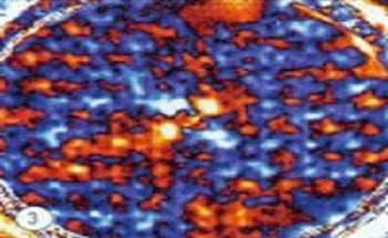Biaxial Testing of Polymer Matrix Composites
