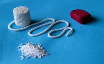The Development of MaxSi™ Graft Technology